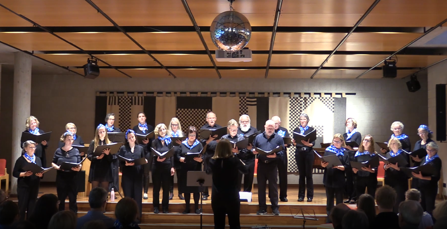 Lavatanssit, Konzert mit finnischer Tanzmusik